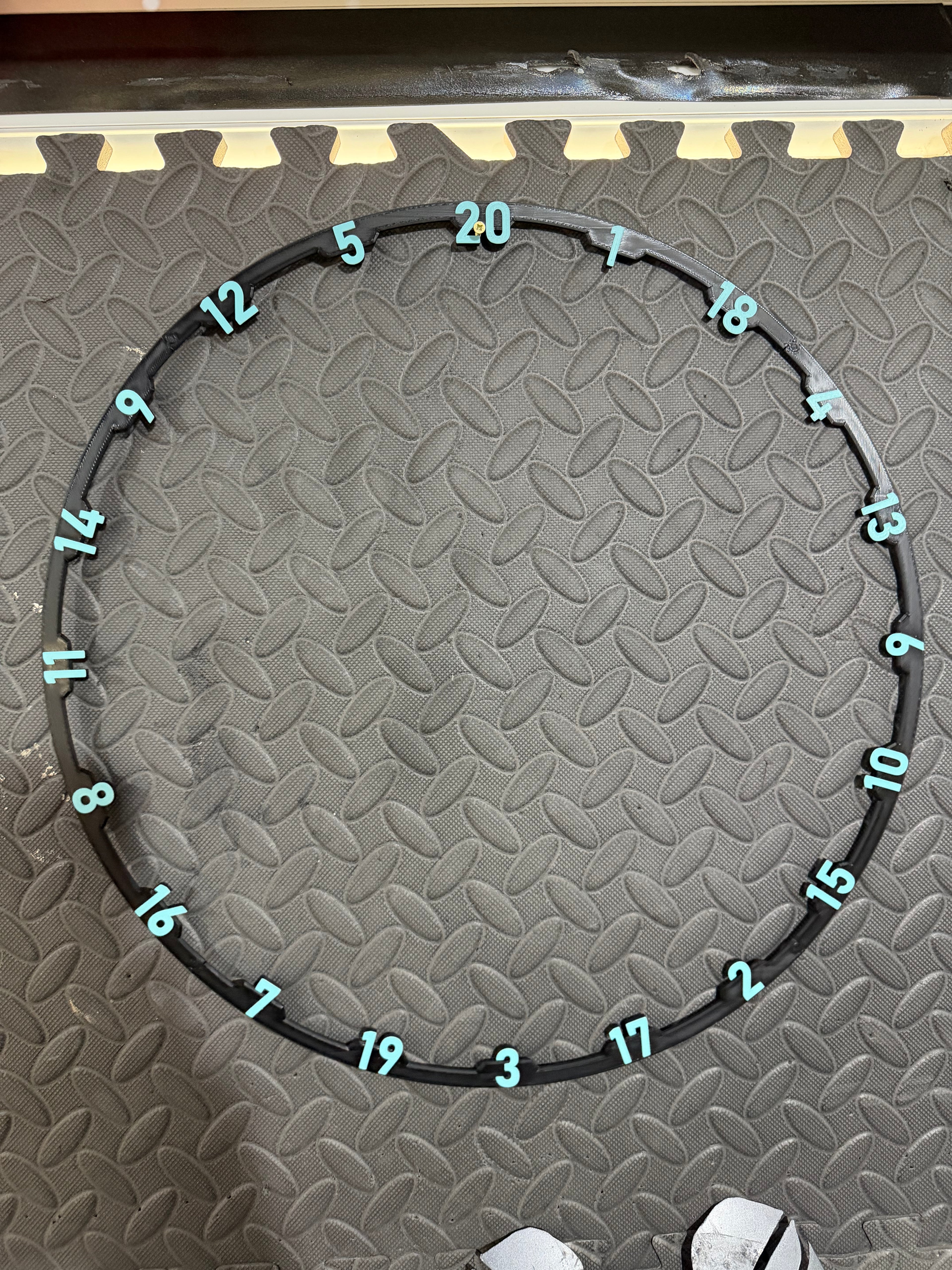 Custom Dartboard number ring